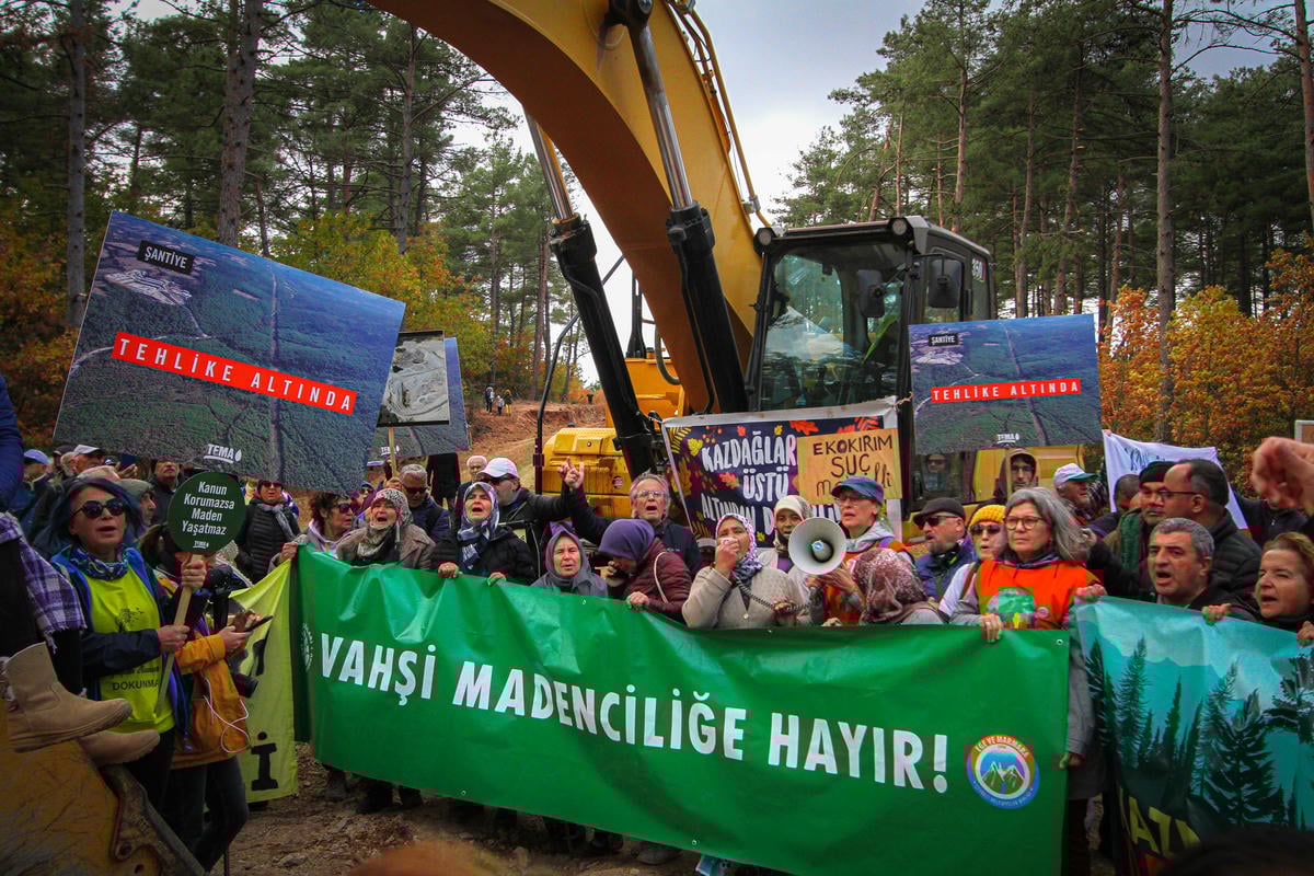 Siz bu satırları okurken kesiyorlar